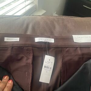 LOFT Women's Dark Brown Skinny Pants